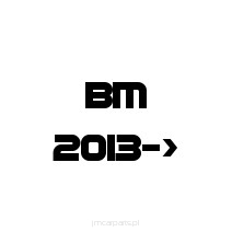 BM 2013 ->