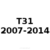 T31 2007-2014