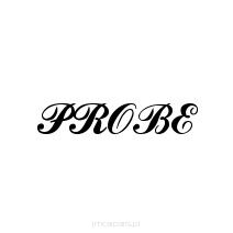 Probe