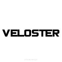 Veloster