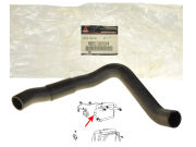 Przewód / Rura / Wąż Chłodnicy Wody -  Dolna