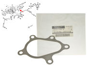 Uszczelka Turbosprężarki - Prawa