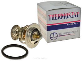 Termostat