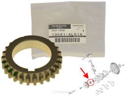 Koło Zębate Wału Korbowego / Rozrządu - Dolne